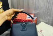 Luxury Louis Vuitton